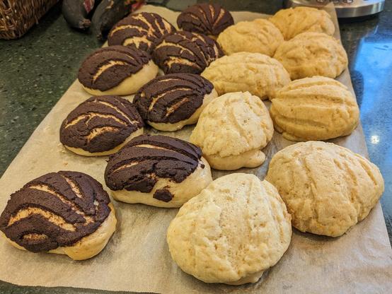 a batch of conchas -- rounded breads with a powdered topping with shell-shapes cut in the topping. One dark chocolate colored, the other a light orange tan.