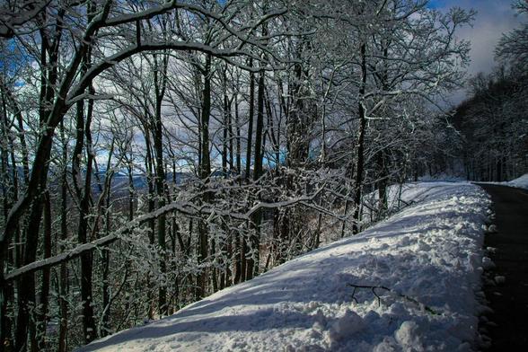 Side of the road on the Blue Ridge Parkway after a snowstorm. Branches with snow on them, blue skies with white/grey clouds can be seen in the background, through the branches. The trees cast shadows on the white snow that is piled on the side of the road. Dark and wet pavement on the road. Image at: https://beautifulsunphotography.com/featured/blue-skies-and-shadows-deb-beausoleil.html See more art & blog at: https://beautifulsunphotography.com/ https://debbeausoleil.com