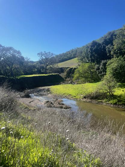 San Antonio Creek at the Eames Ranch in Petaluma, CA