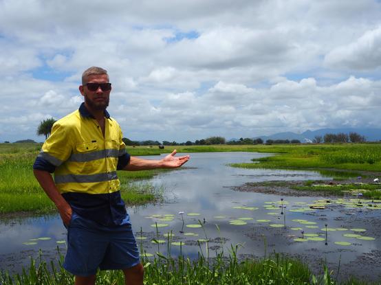 photo - saltwater wetlands, Mungalla Station, Queensland, Australia