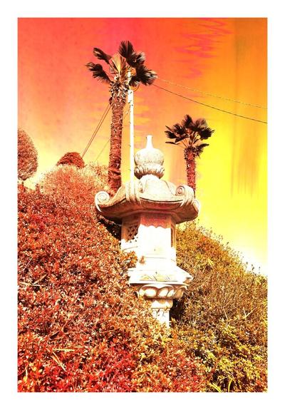 A stone lantern at a shrine. It's placed on the slope of a small hill and I was standing at the bottom looking sightly up. The bottom two thirds of the lantern are completely covered by the shrub that grows all around it. It is manicured, somebody is doing some landscaping, but over time the height has grown to the point where we need to worry about the lantern. In the background are two palm trees and a flag pole. I've changed the color scheme to make everything reddish orange.