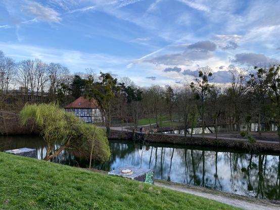 A view over ponds in a park.