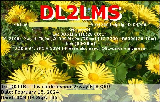 QSL-Karte der deutschen Station DL2LMS. Das Foto zeigt eine Ansammlung von Gämswurzen, Pflanzen mit gelben Korbblüten.