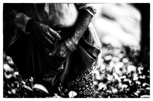 old hands