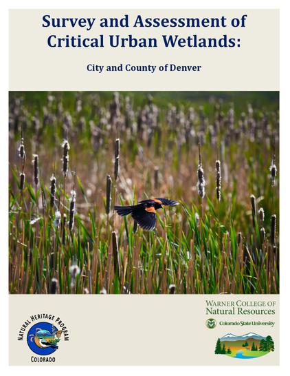 report cover - survey and assessment of critical urban wetlands, city and county of denver
