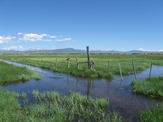 photo - wetlands adjacent to farmlands, Colorado