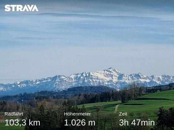 Blick auf den Säntis und den Alpstein.