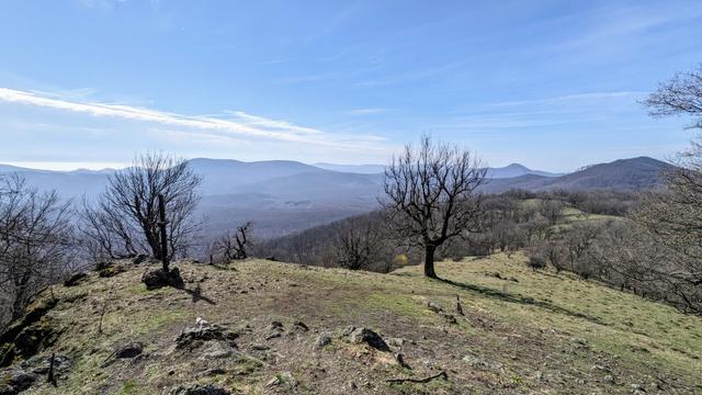 View over the green grass accent side, two solitaire trees without leaves in the middle, distant hills in the background. The name of this hill is Klokoč.