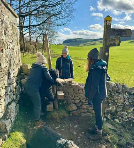 A Hungarian Puli dog is helped over the stone wall stile as she didn’t fancy the stone steps built into the wall on the Southern Upland Way in the Scottish Borders. It’s a sunny moment with the spring sun bringing the green grass to life in the background.