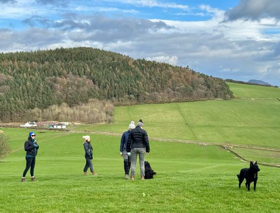 A landscape photo of green fields of the Scottish Borders. In the distance is Gala Hill. The wind is strongly buffeting a group of walkers and dogs.