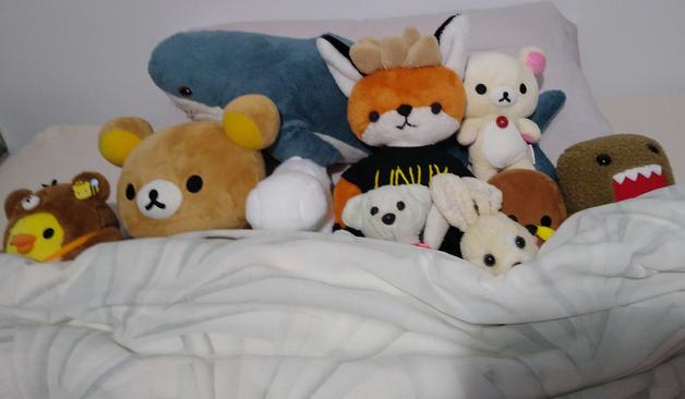 plushies in a bed
left to right
kiiroitori (yellow bird)
rilakkuma (brown bear)
moomin (white fur creature)
xenia (orange fur fox)
teddy (white teddy bear)
bunny (white fur bunny)
korilakkuma (white bear small)
gondola (round head two eyes a button nose and yellow mustache )
domo-kun (brown fur square creature with a wide open mouth)
behind them all is blahaj