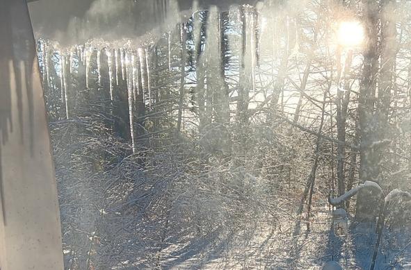 View out a window with morning sun casting long shadows across a snowy yard, and haphazardly arranged icicles melting along the top edge of the window.