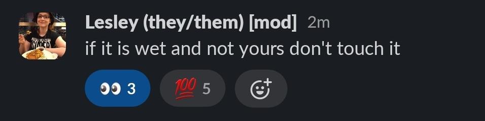 Lesley (they/them) 
if it is wet and not yours don't touch it

(from #track2-2024 in PancakesCon Slack channel)