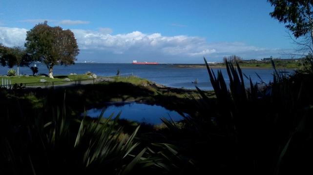 Looking across a tiny pond towards the bay. Some spiky plants dart in and out of shadows on the near shore.
