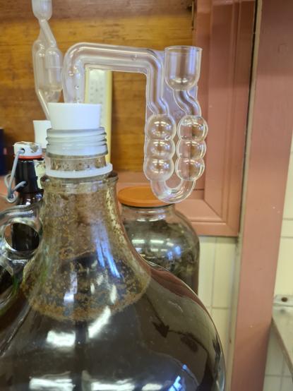 Fermenter with wild beer inside, bubbles visible showing the beginning of the fermentation process