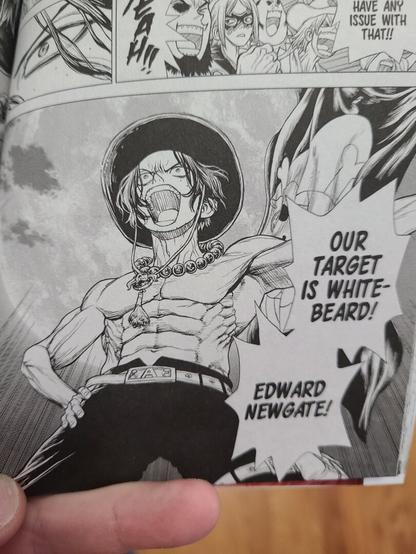 Zoom in on a single black and white panel from One Piece Ace's Story The Manga, Volume 1. The panel has Ace (muscular, shirtless man with ha