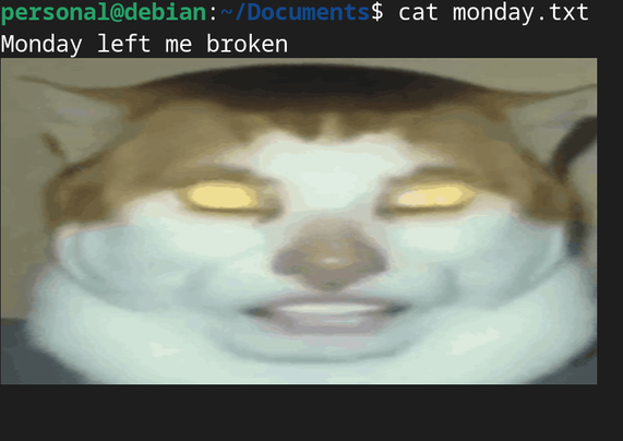 A file named monday.txt opened using cat command in Linux terminal.
The first line of the file is: "Monday left me broken" (from Avicii's song Waiting For Love)
A demonic looking cat appears
(Gen Z / Gen Alpha meme)