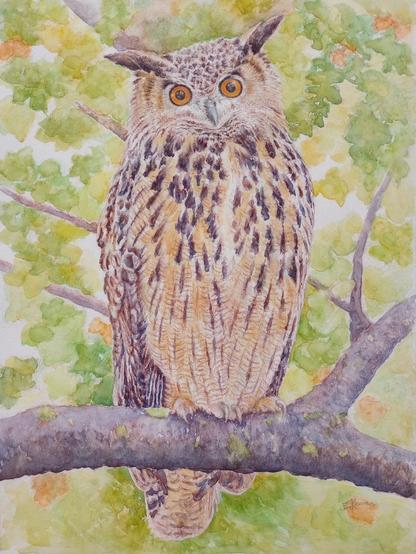 Watercolor painting of Flaco, the Eurasian Eagle Owl of NYC.