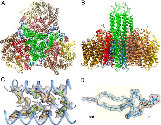 Picture from https://www.pnas.org/doi/10.1073/pnas.2315568121#executive-summary-abstract