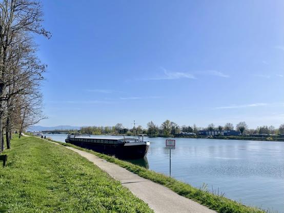 Rheinufer bei Breisach, ein Binnenfrachtschiff hat festgemacht.