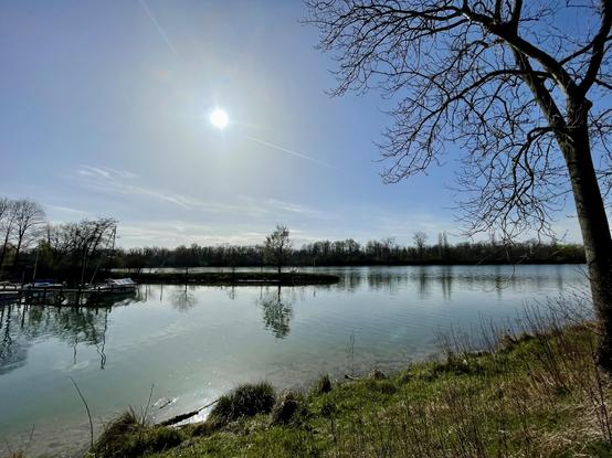Blick über die Hafeneinfahrt des »Segel-Club-„Nautic“-Breisach« über den Altrhein nach Westen.