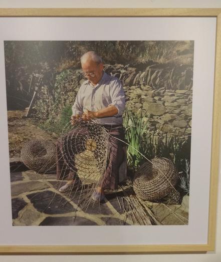 a seated man making a basket for catching seafood out of olive branches.  finished baskets on the ground nearby. dry stone wall in the background.