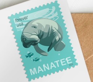 close up of a US postal stamp of an illustrated manatee on a light blue background