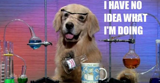 Golden Retriever in lab, with protective eye gear, pouring beaker into coffee cup, “I have no idea what I’m doing”