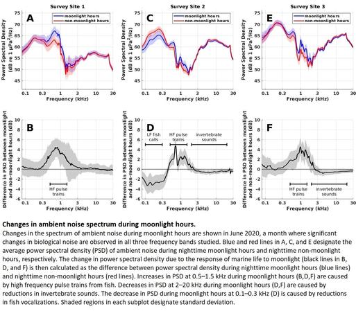 charts - changes in ambient noise during moonlight hours