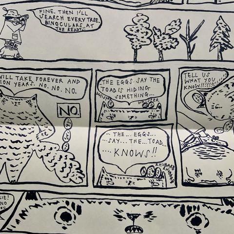 A set of comic panels featuring a cat and a toad and some eggs.