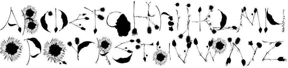 Font preview