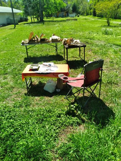 Tables set up with trees on them, with a low table and chair in front of them where I will sit.