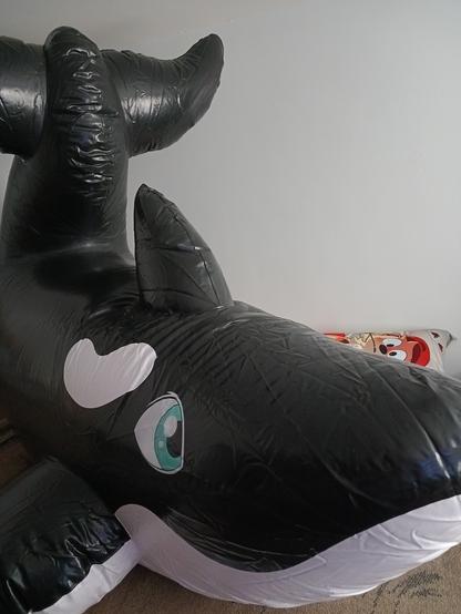 pooltoy orca with curved up tail taking up almost the entirety of the frame, with an otter daki peaking from behind.