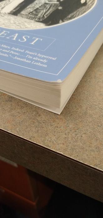 Image of the corner of the book.  The paperback cover doesn't lay quite flat and had a knocked corner < 1mm.