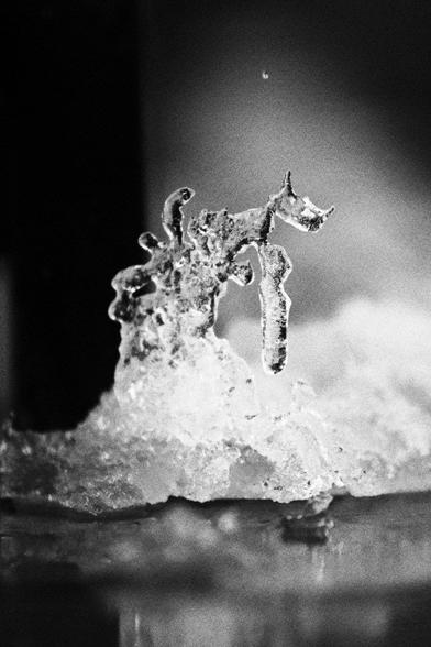 The snow on the counter ledge (previous post) melted further and then turned into ice. It formed an abstract shape that suggests a mythological -fantasy creature.