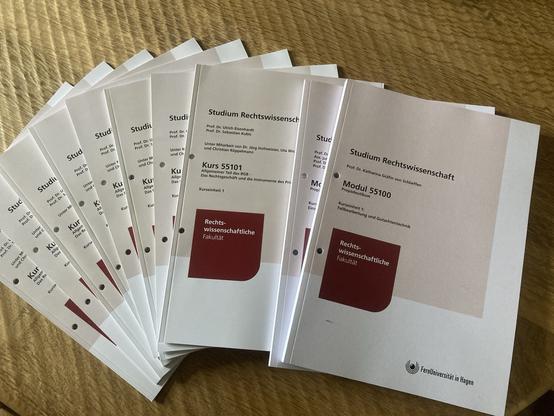 Studien-Skripte der Rechtswissenschaften für die Module Propädeutikum und BGB Allgemeiner Teil