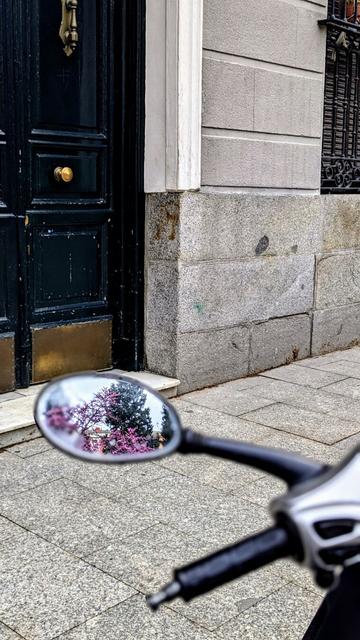reflejo de un árbol de flores fucsias en un espejo de motocicleta