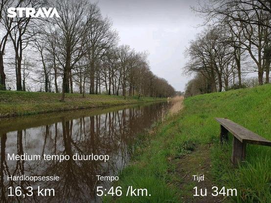 Bankje langs kanaal Almelo-Nordhorn. Gras op de oevers en nog kale bomen aan weerszijden.