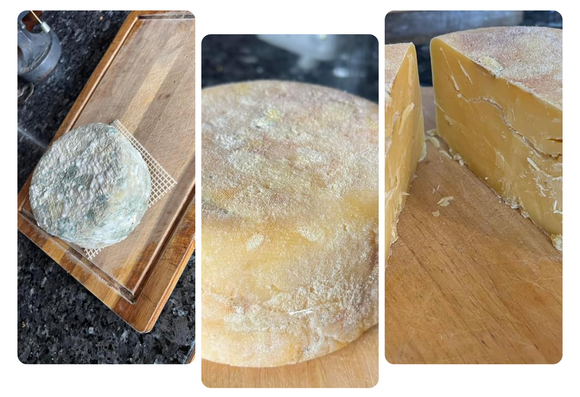 Moldy looking wrapped cheese, unwrapped and halved revealing a normal looking cheddar