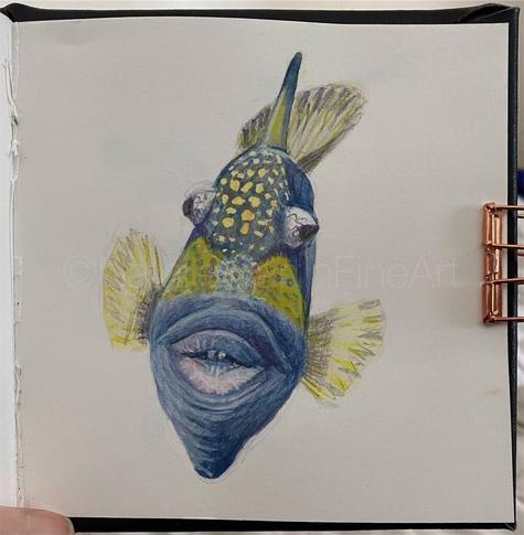Watercolor of a blue and yellow fish face