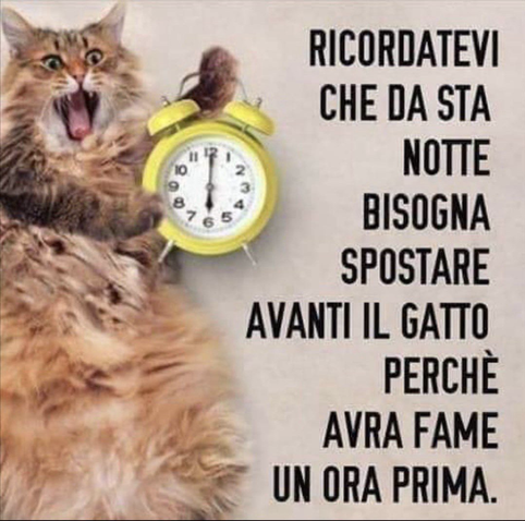 Ricordatevi che stanotte bisogna spostare avanti il gatto perché avrà fame un’ora prima.