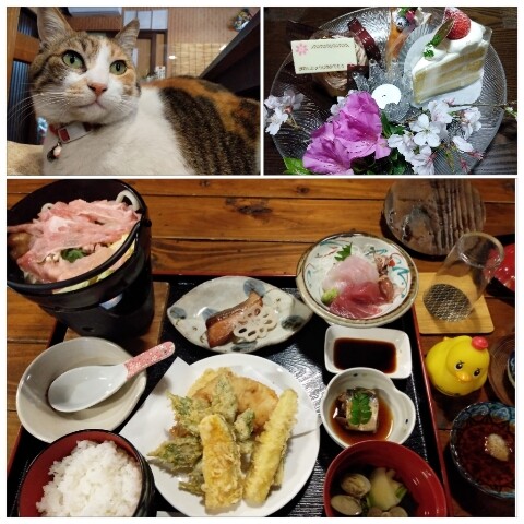 ねことケーキとごはん