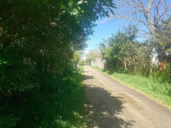 A view of the unpaved back alley near the geohash point. Lots of trees around, and there is a house entrance at the far end