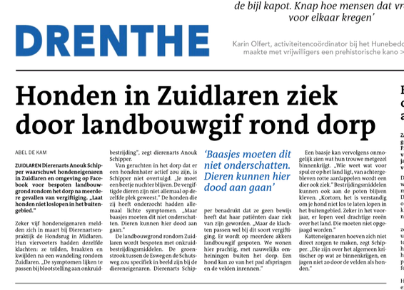 Artikel Dagblad van het Noorden, waarin een dierenarts in Zuidlaren waarschuwde voor vergiftigde honden, door landbouwgif rond het dorp.