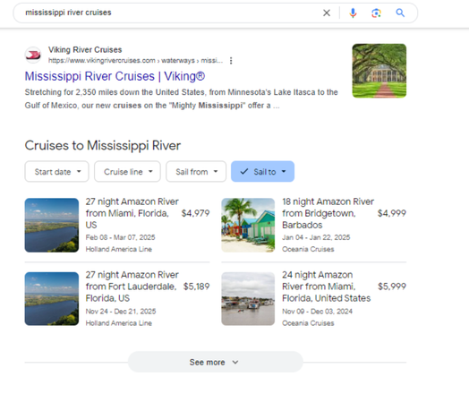Google cruise search results pack