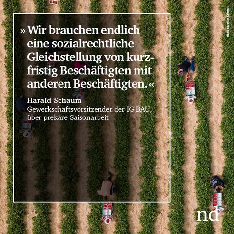 »Wir brauchen endlich eine sozialrechtliche Gleichstellung von kurzfristig Beschäftigten mit anderen Beschäftigten.«  Harald Schaum, Gewerkschaftsvorsitzender der IG BAU über prekäre Saisonarbeit