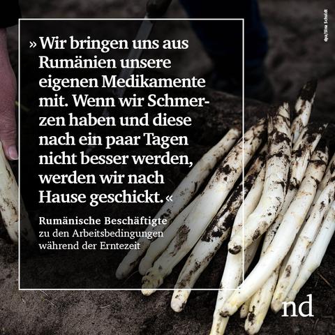 »Wir bringen uns aus Rumänien unsere eigenen Medikamente mit. Wenn wir Schmerzen haben und diese nach ein paar Tagen nicht besser werden, werden wir nach Hause geschickt.«  Rumänische Beschäftigte zu den Arbeitsbedingungen während der Erntezeit