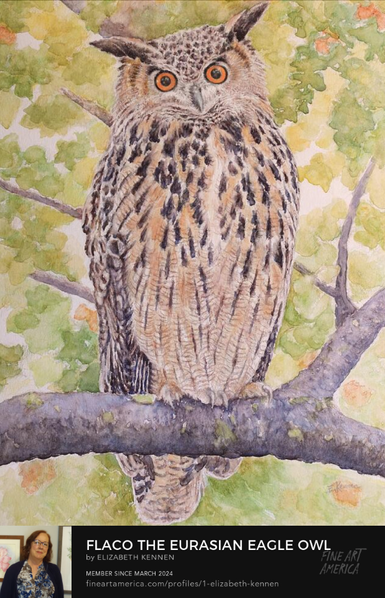 Watercolor painting of a large Eurasian Eagle Owl.