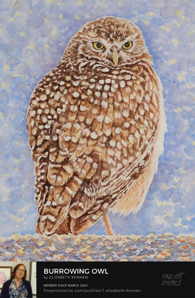 Watercolor painting of a large Burrowing Owl.