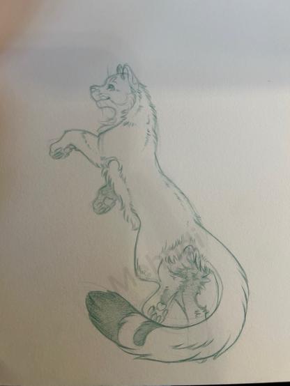 Pencil sketch of a playful cat rearing up on its hind legs.